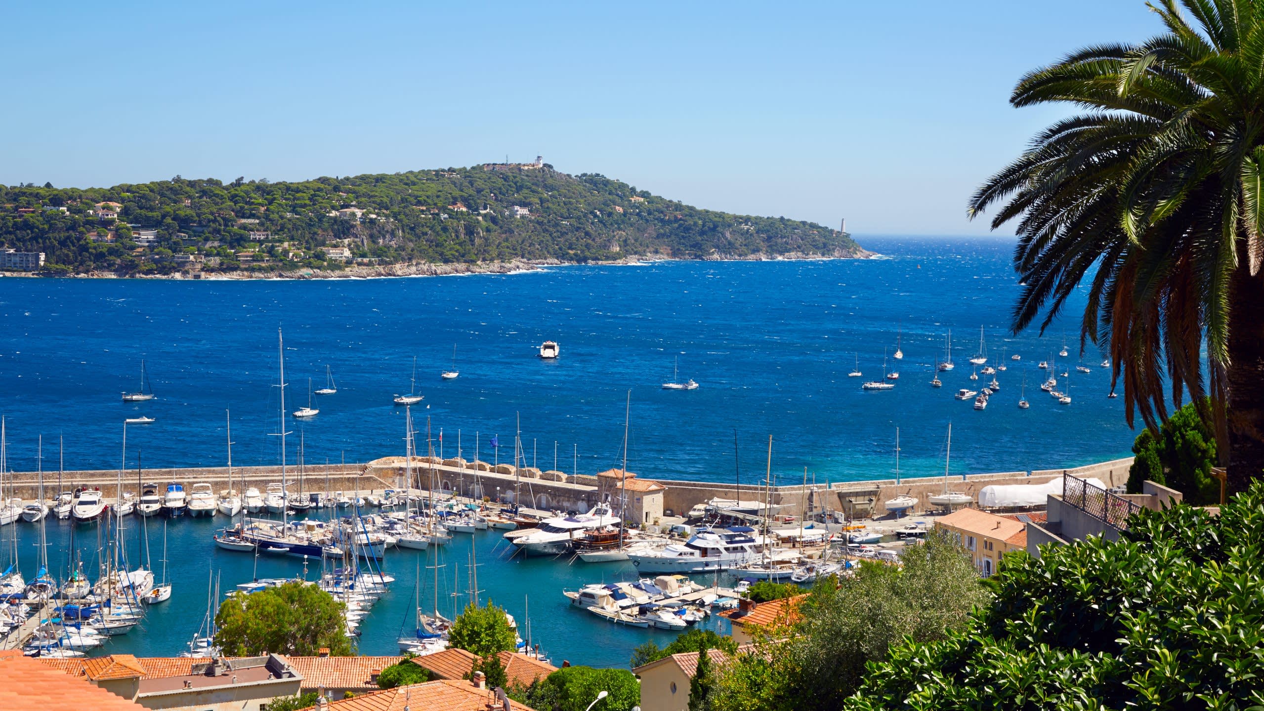 A vibrant harbor filled with sailboats and yachts is nestled against a lush, green hillside under a clear blue sky.