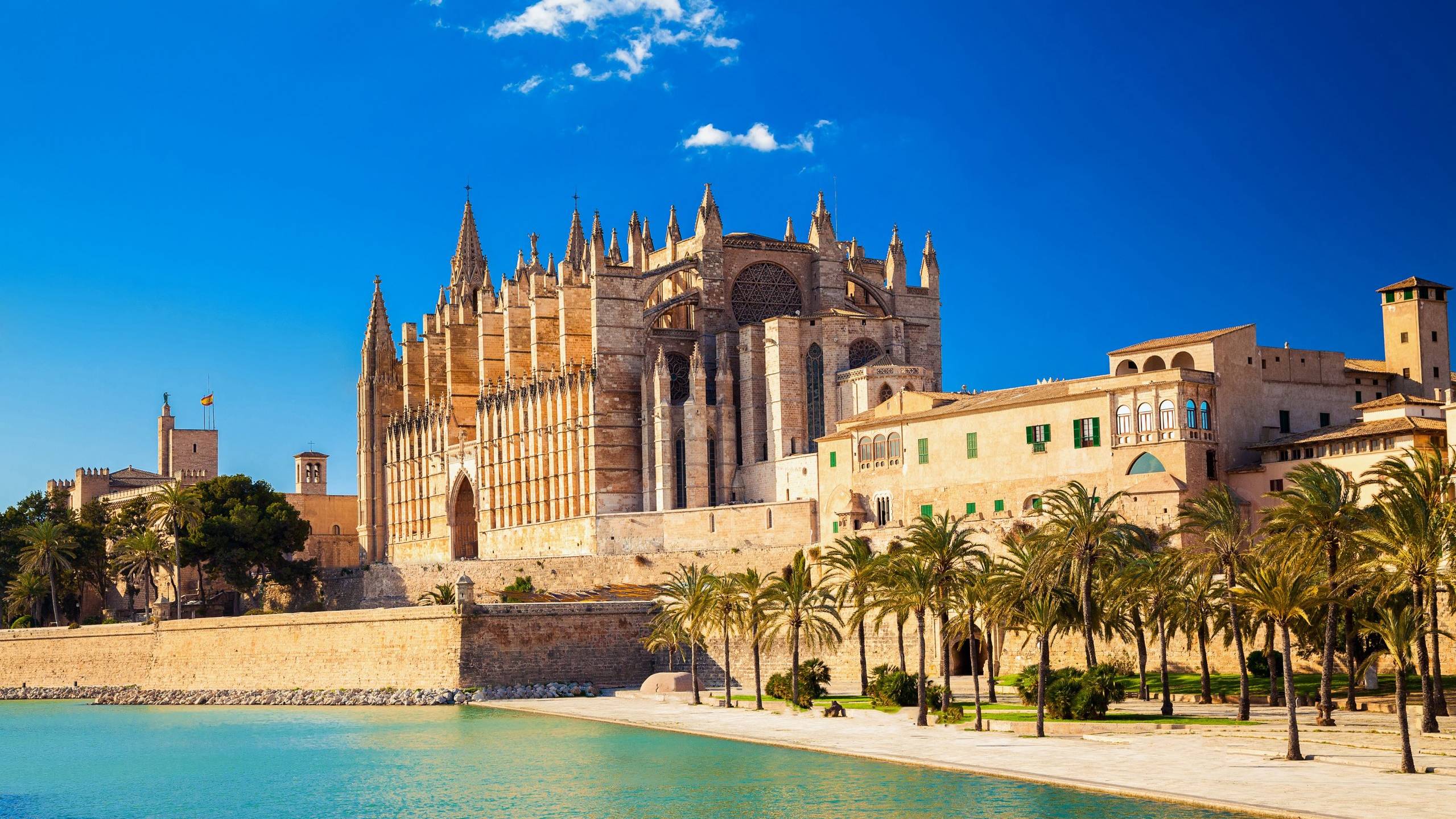 Palma
