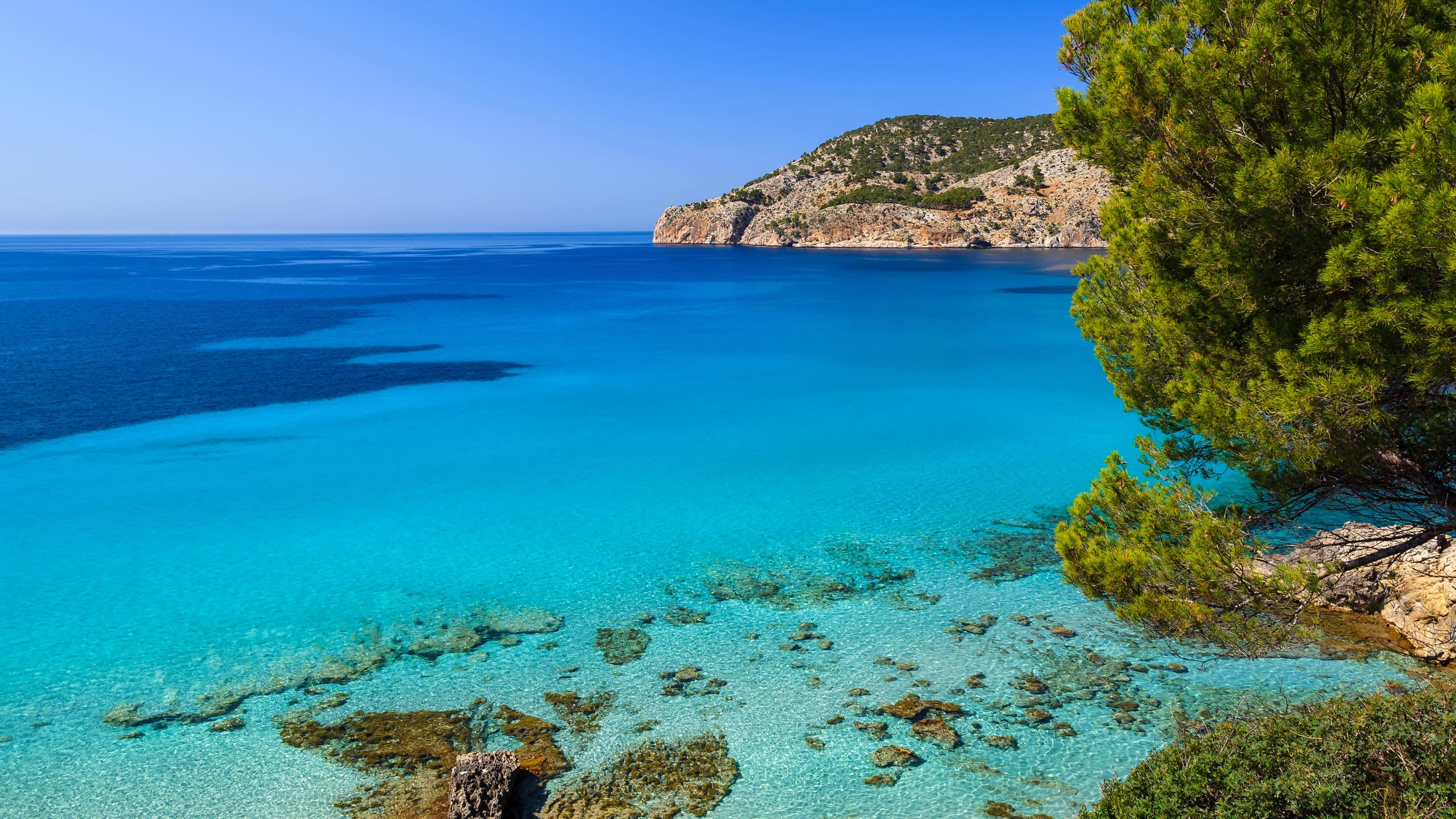 Yacht Charter In Andratx