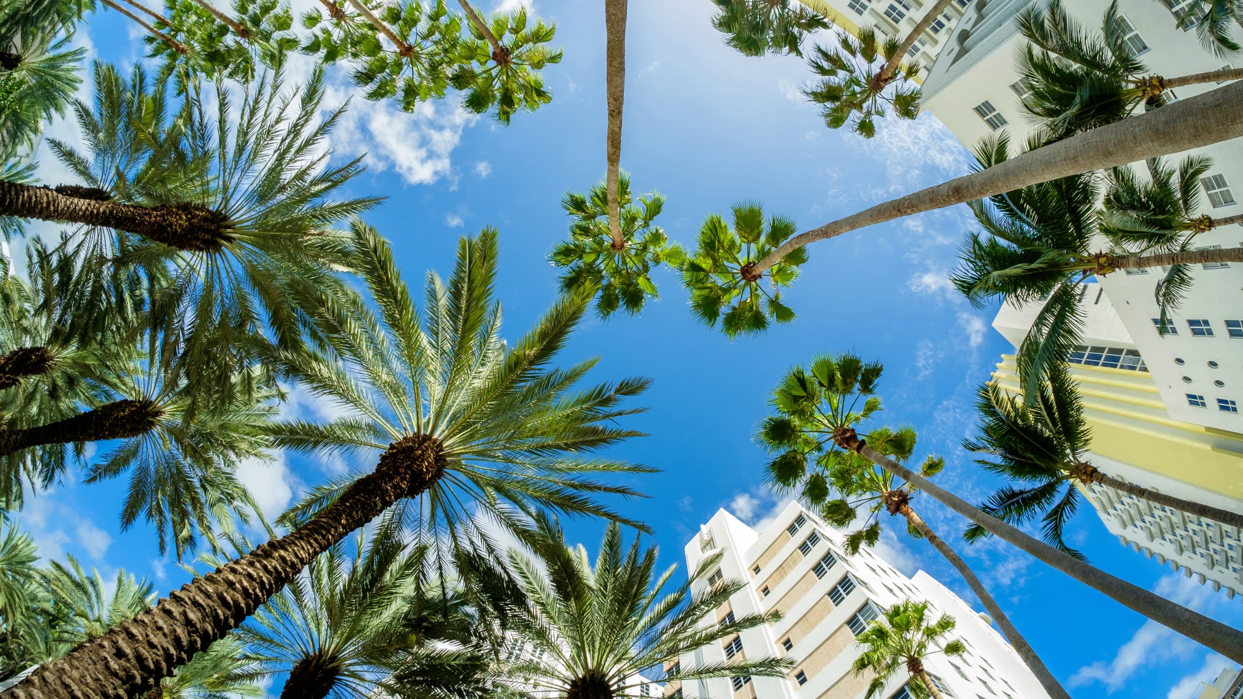 Americas Charter Favourites