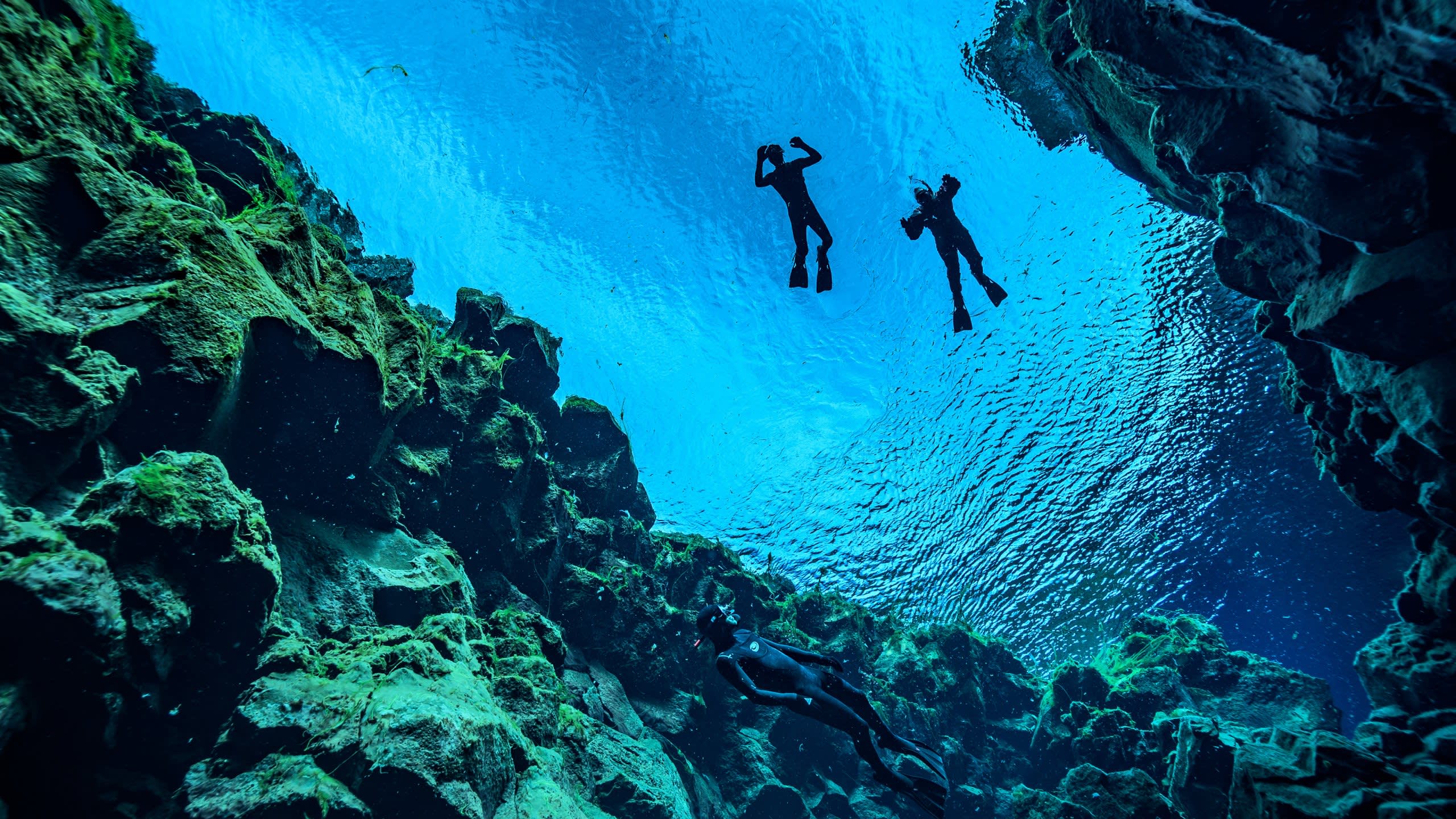 Between Two Continents