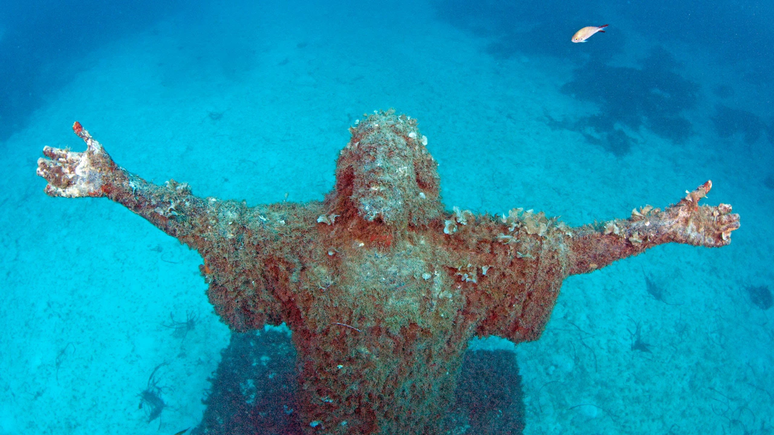 Discover The Wrecks Of Malta