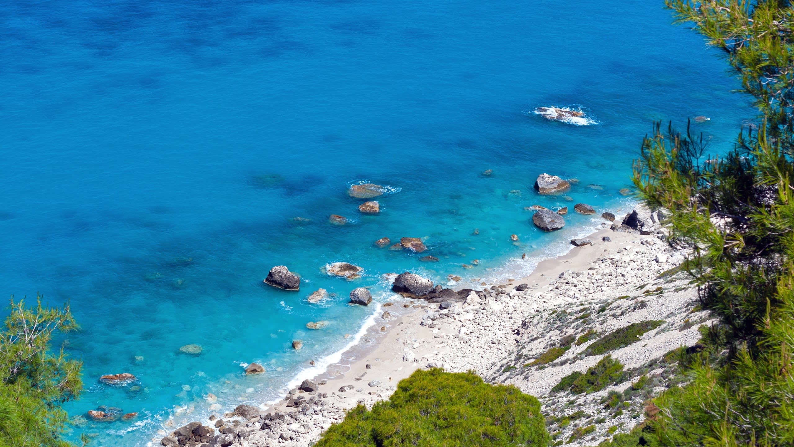 Turquoise waters lap against a rocky shore, framed by lush green pine trees on a sun-drenched cliffside.