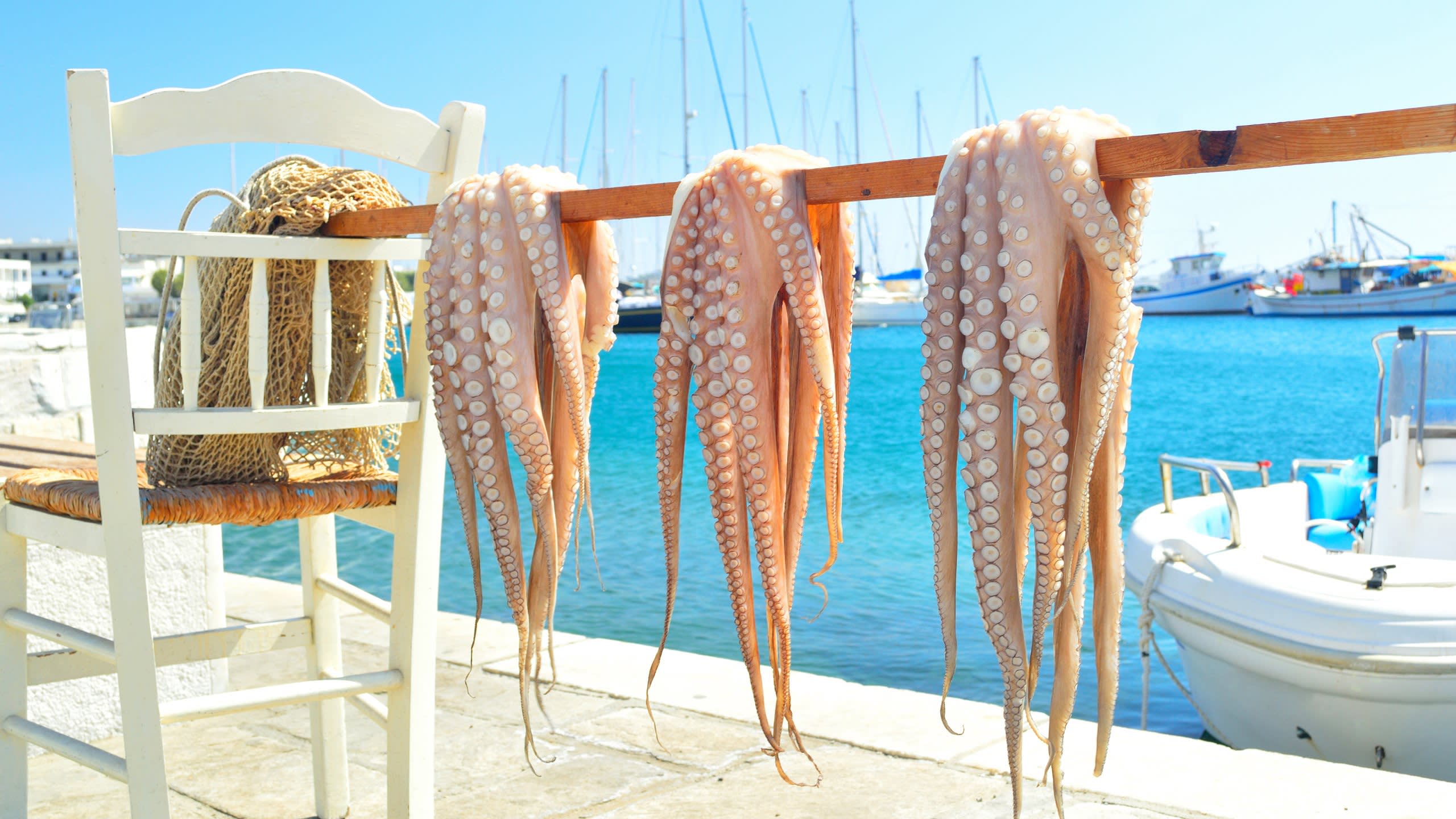 Fresh octopuses hang to dry in the sun, ready for a delicious meal by the sparkling blue sea.