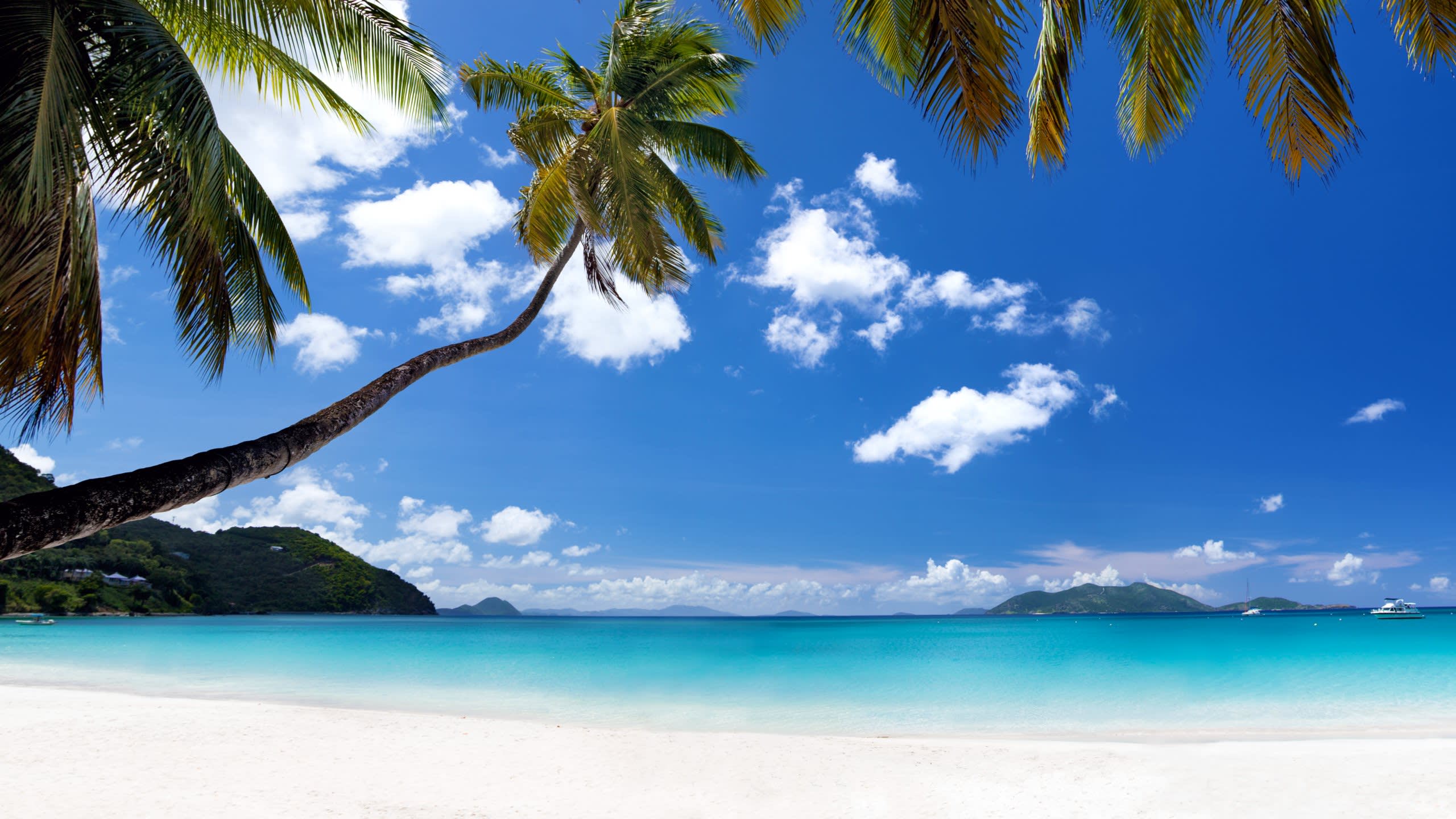 Tortola