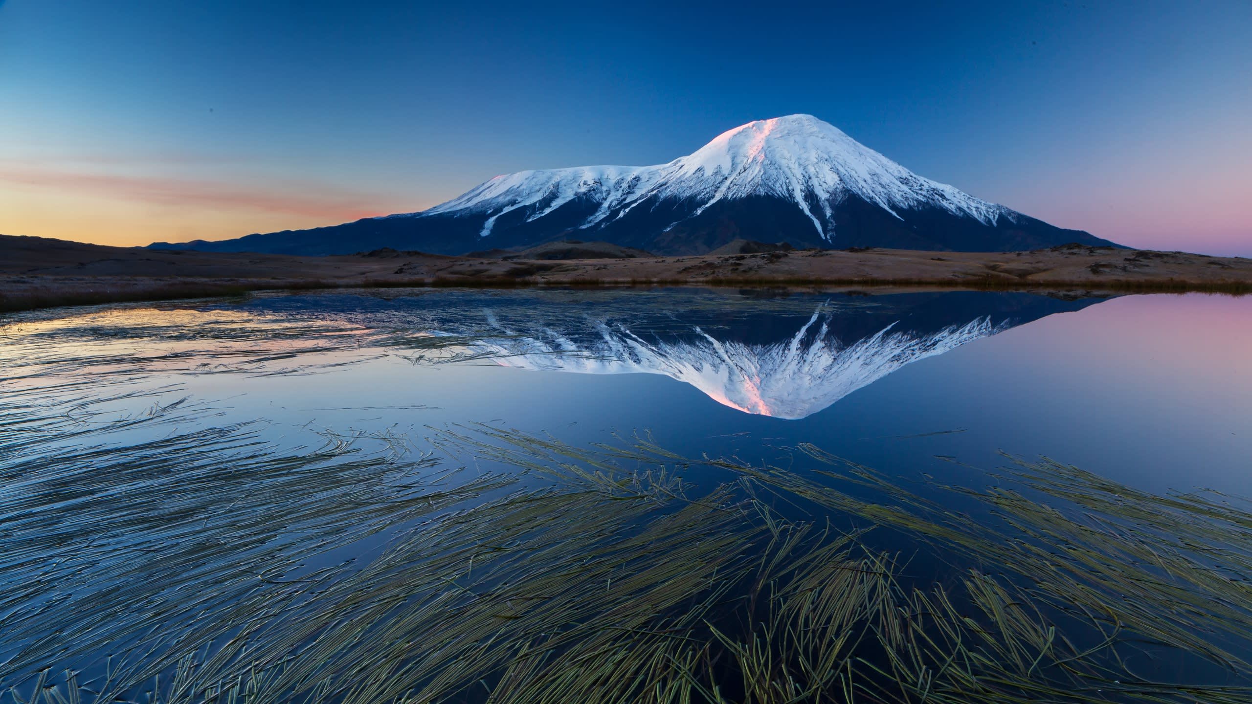 New Horizons. Kamchatka.