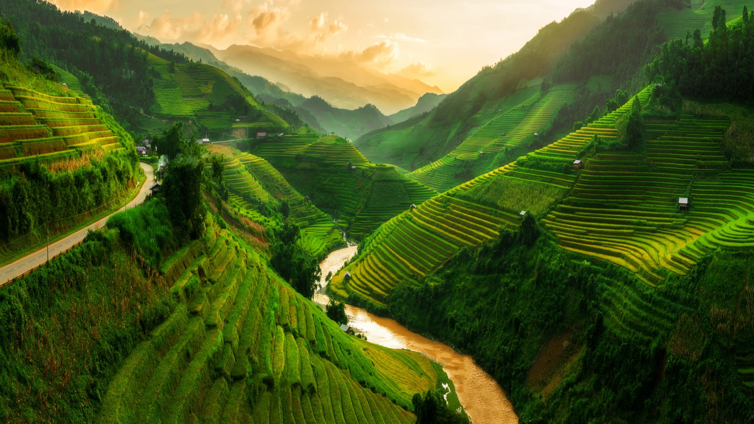 New Horizons. Vietnam.