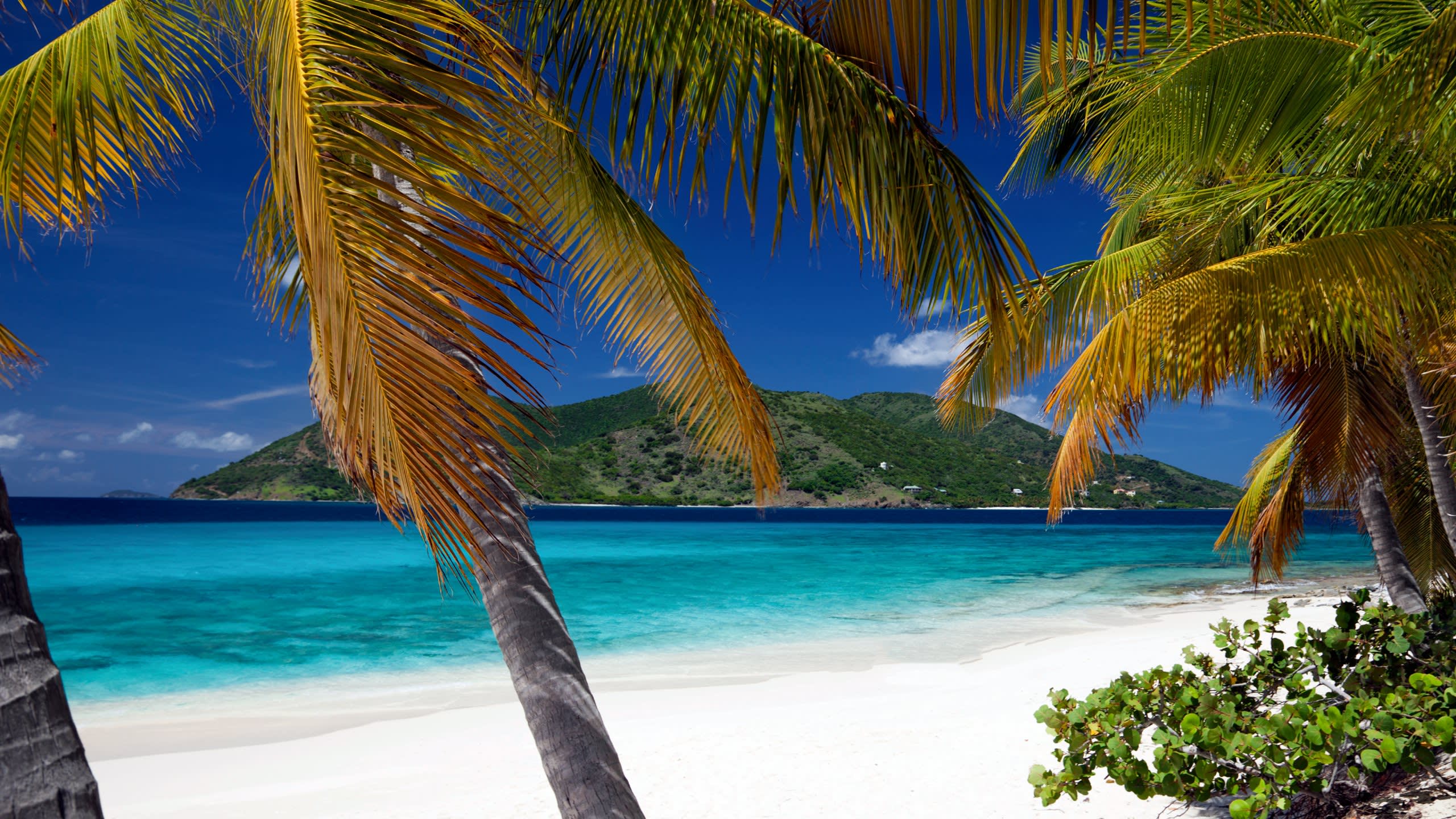 Home to Paradise
