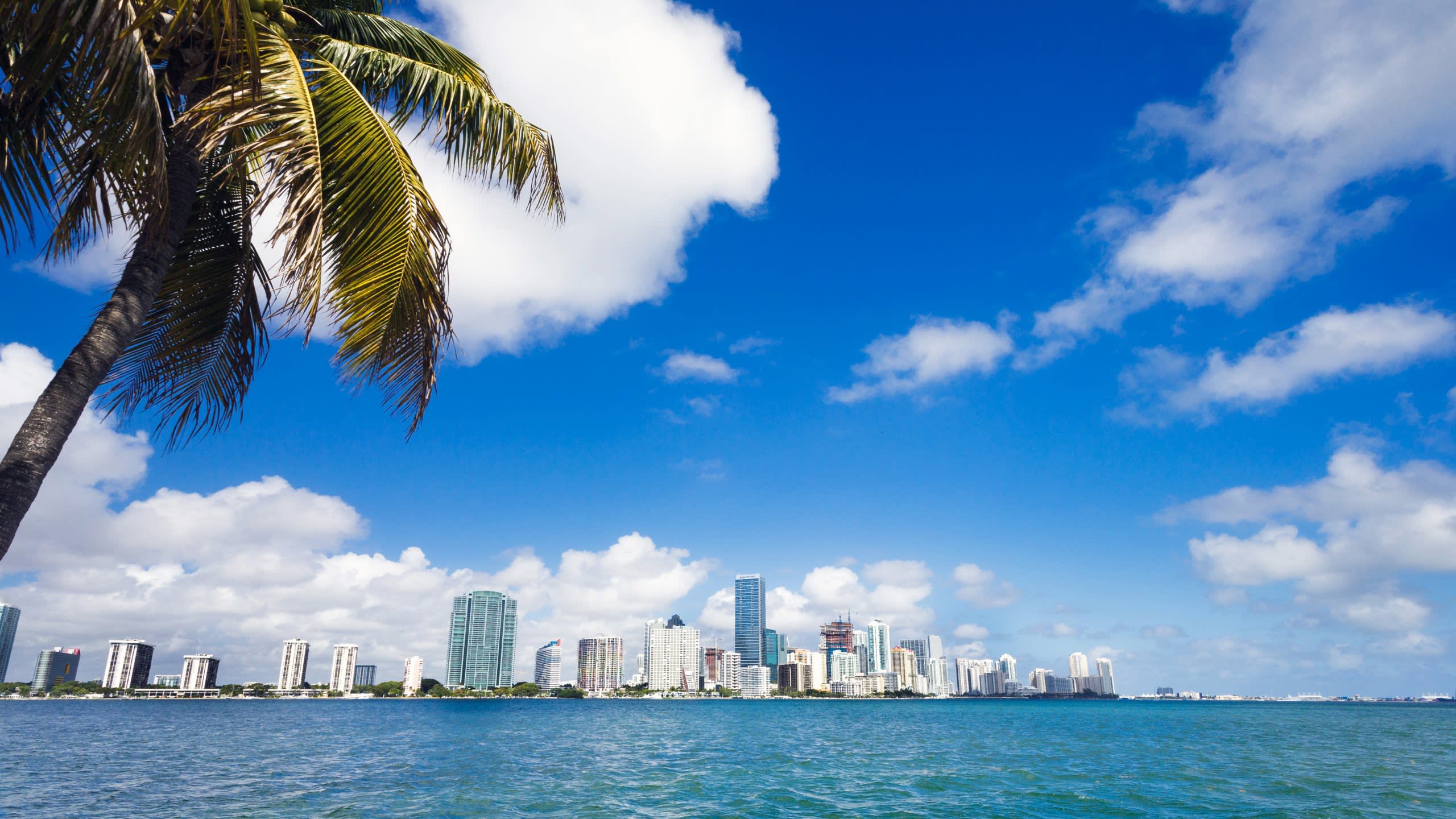 Florida Yacht Charter