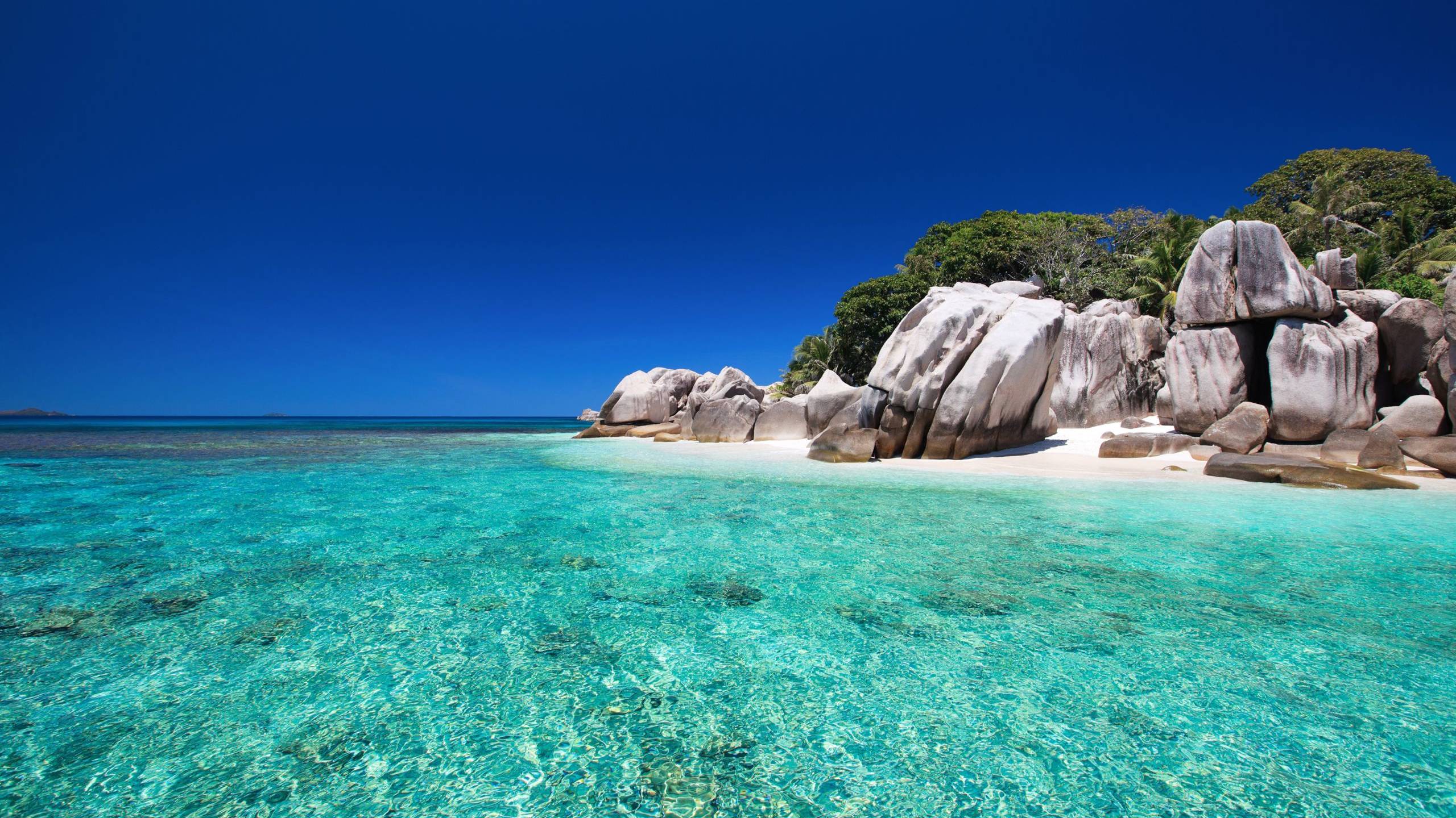 Seychelles Yacht Charter