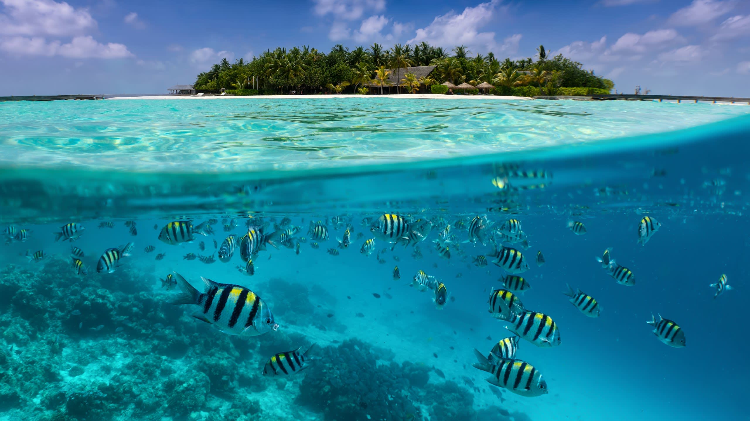 Indian Ocean