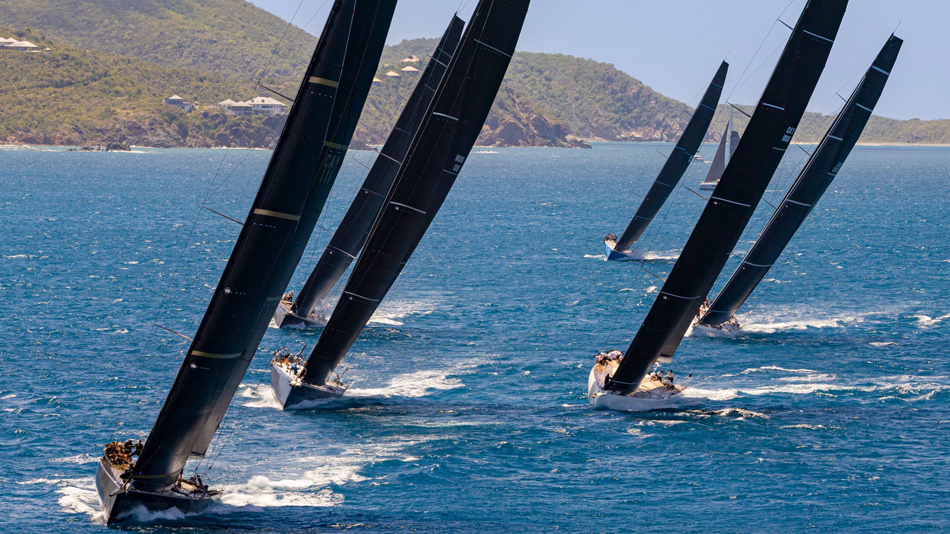 Sleek black sails dominate the azure waters as racing yachts vie for position under a clear blue sky.