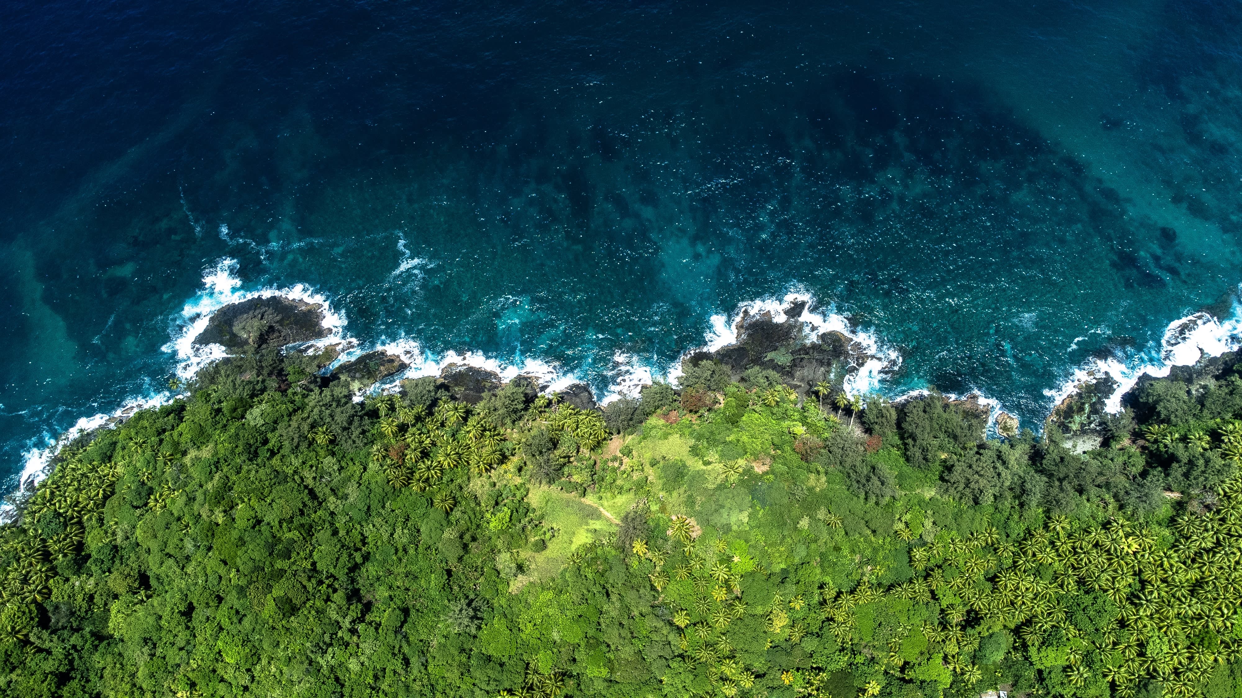 LIFE AT ITS MOST VIBRANT