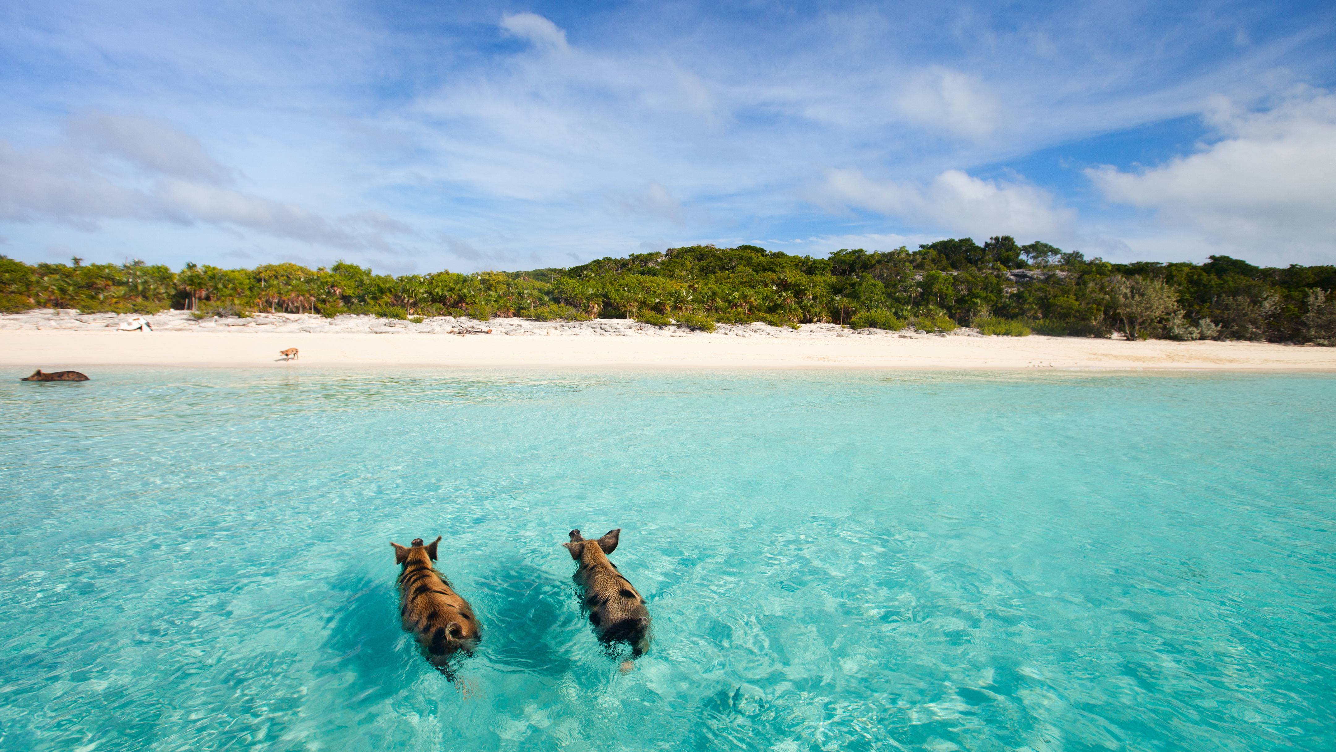 DISCOVER THE BAHAMAS: NASSAU AND BEYOND