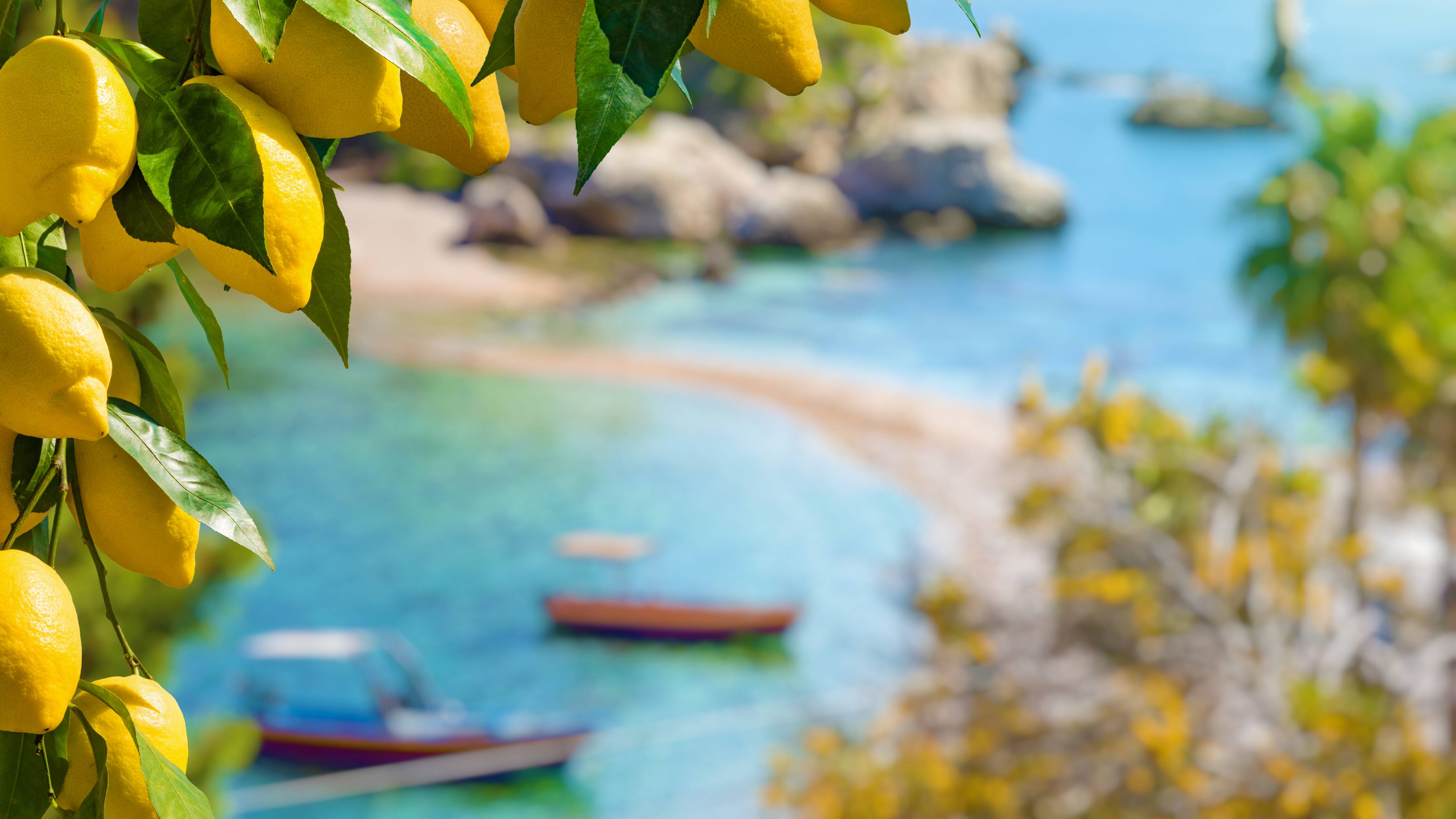 Sicilia Amore Mio