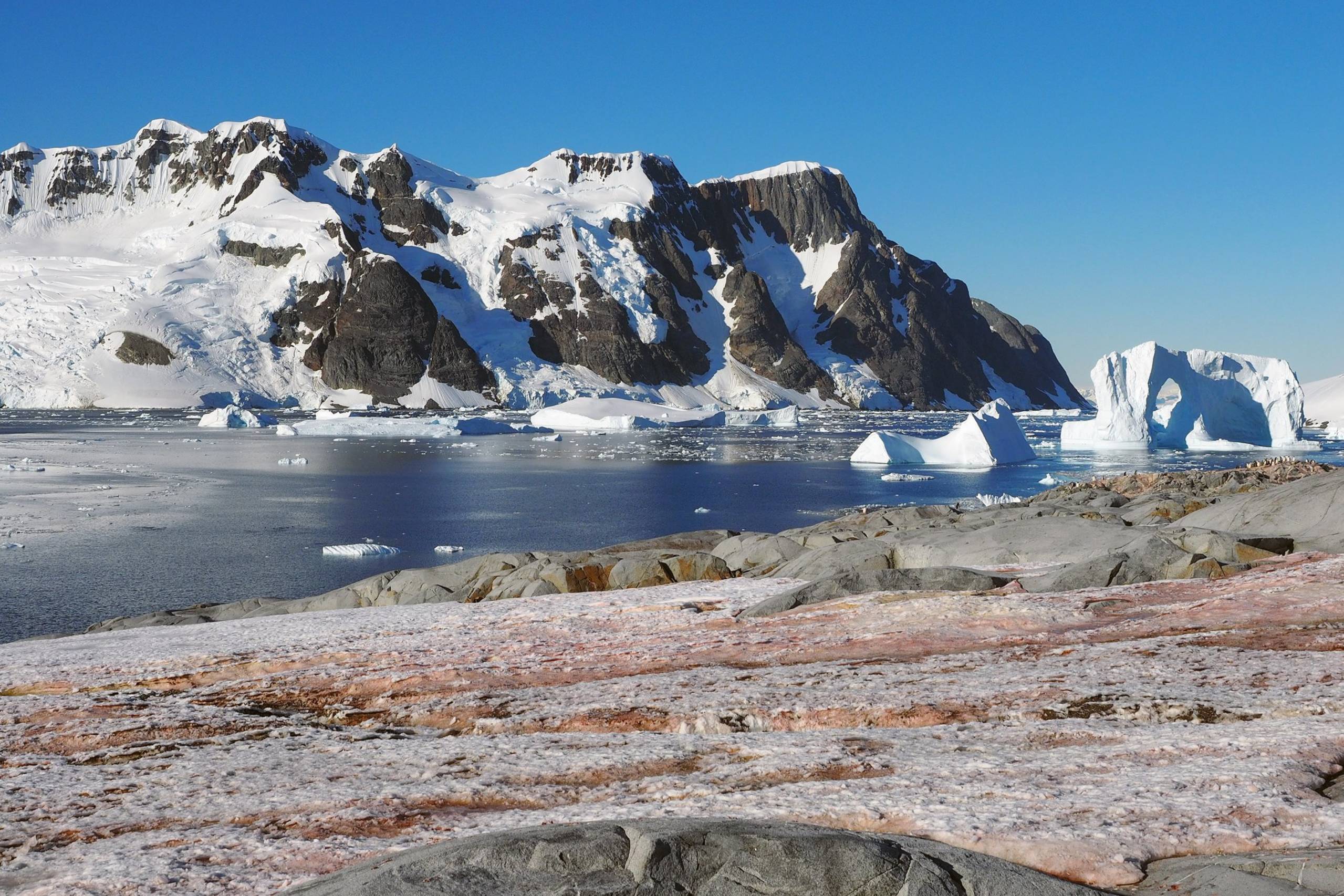 Pleneau Island