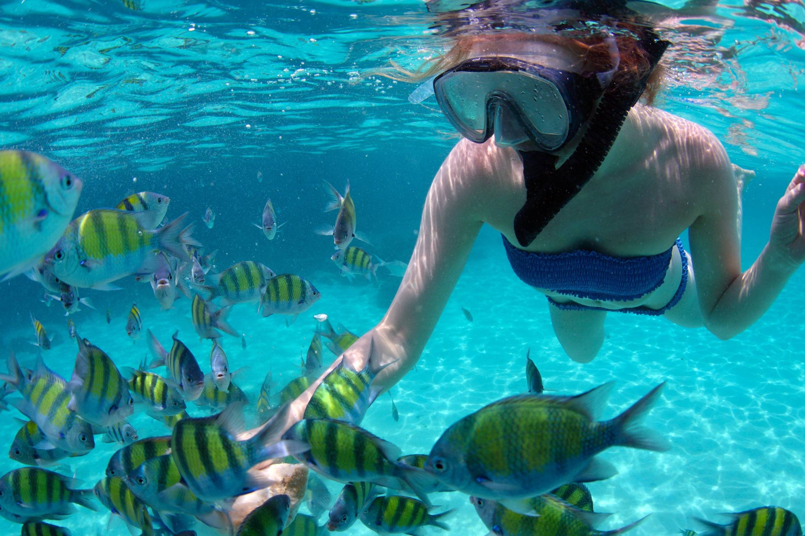 Snorkeling