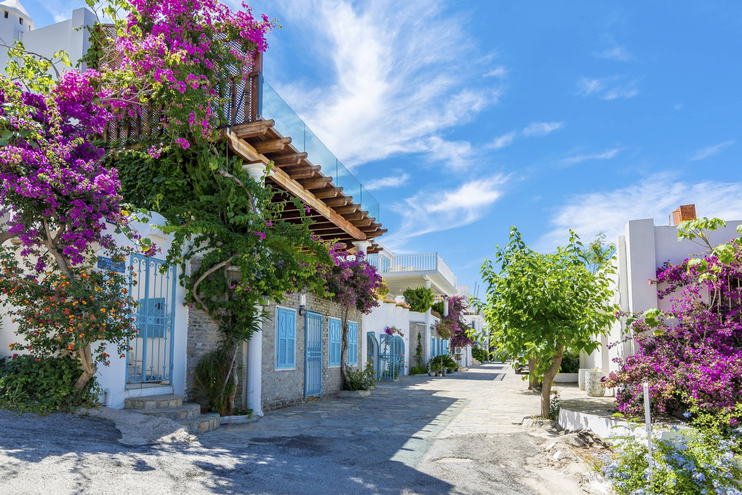 Vibrant bougainvillea cascades over whitewashed buildings lining a charming cobblestone street under a bright blue sky.