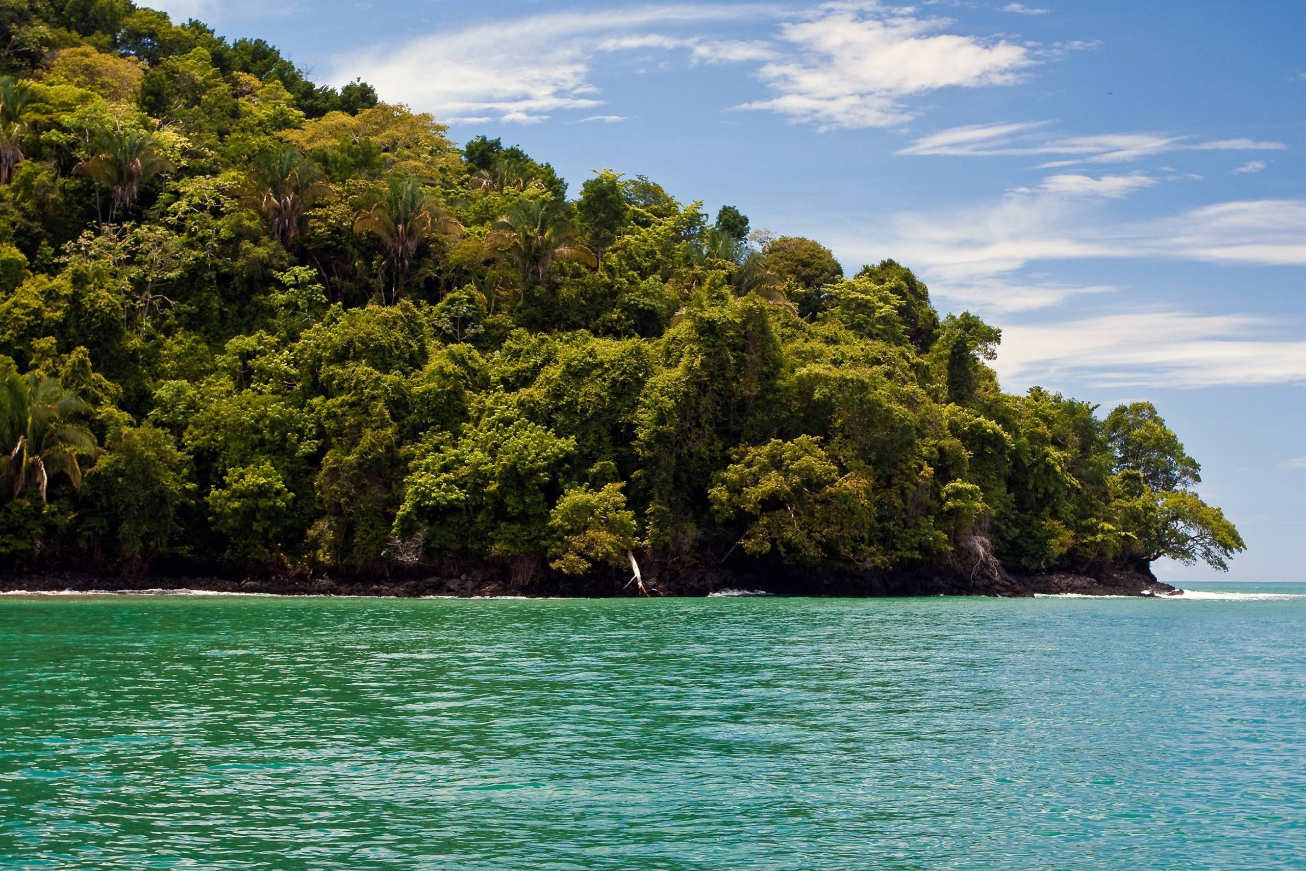 Lush green jungle cascades down to meet the vibrant turquoise waters of this tropical coastline.