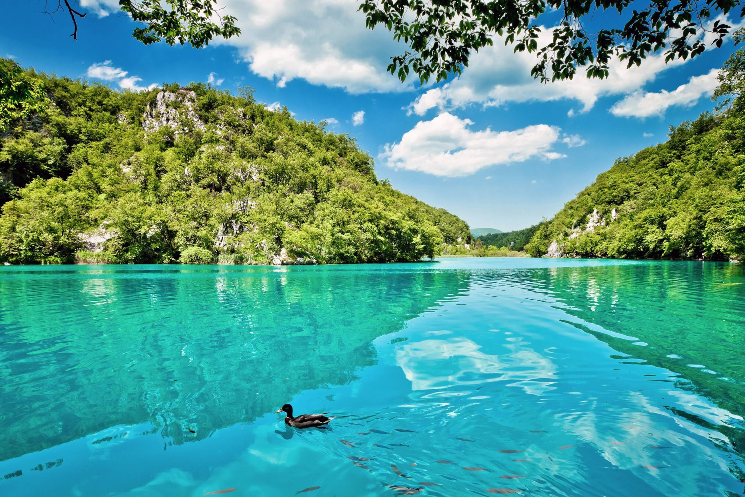A lone duck glides through the incredibly clear, turquoise waters of a serene lake surrounded by lush green hills.