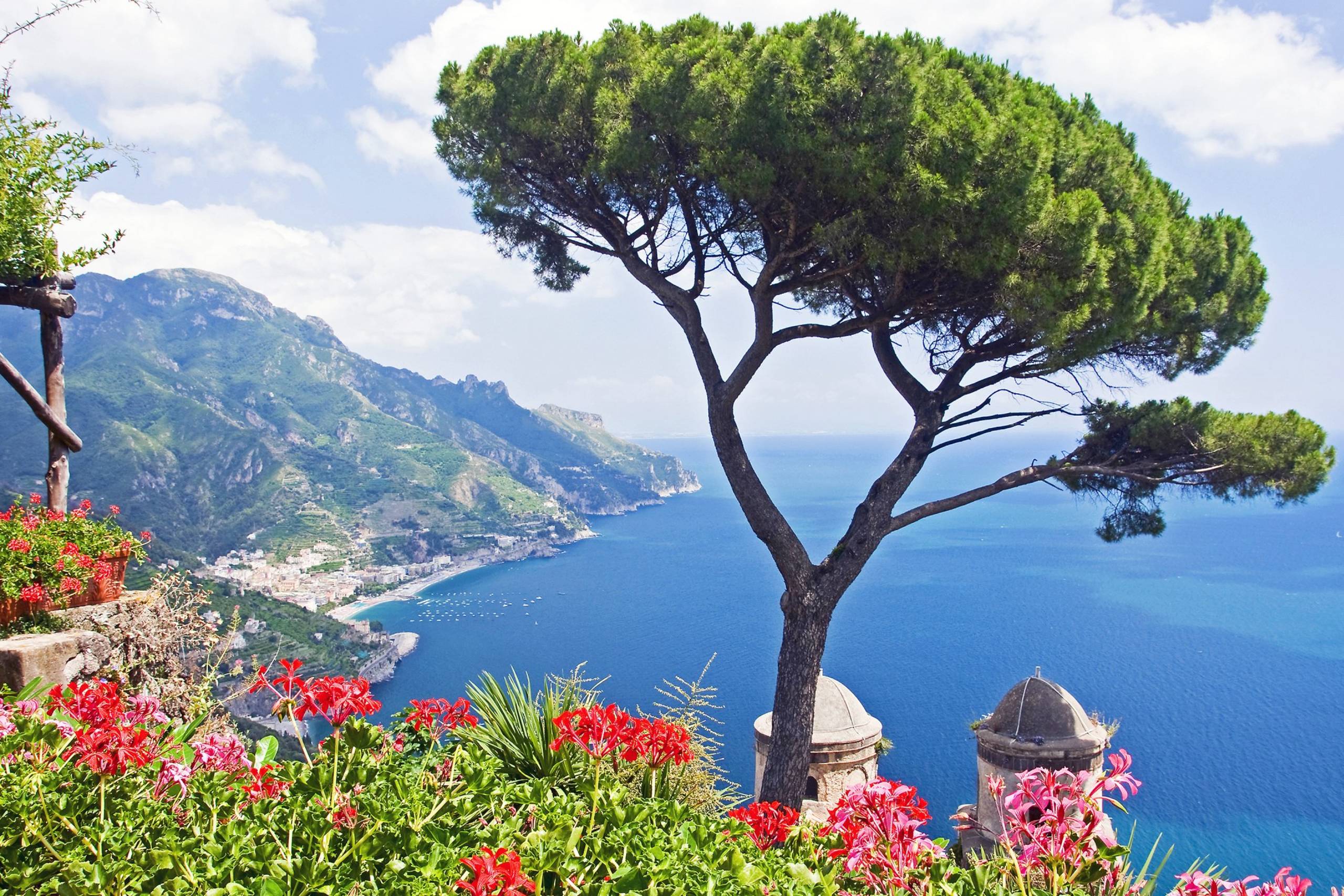 Vibrant red flowers frame a stunning view of the Amalfi Coast with its dramatic cliffs and azure waters.
