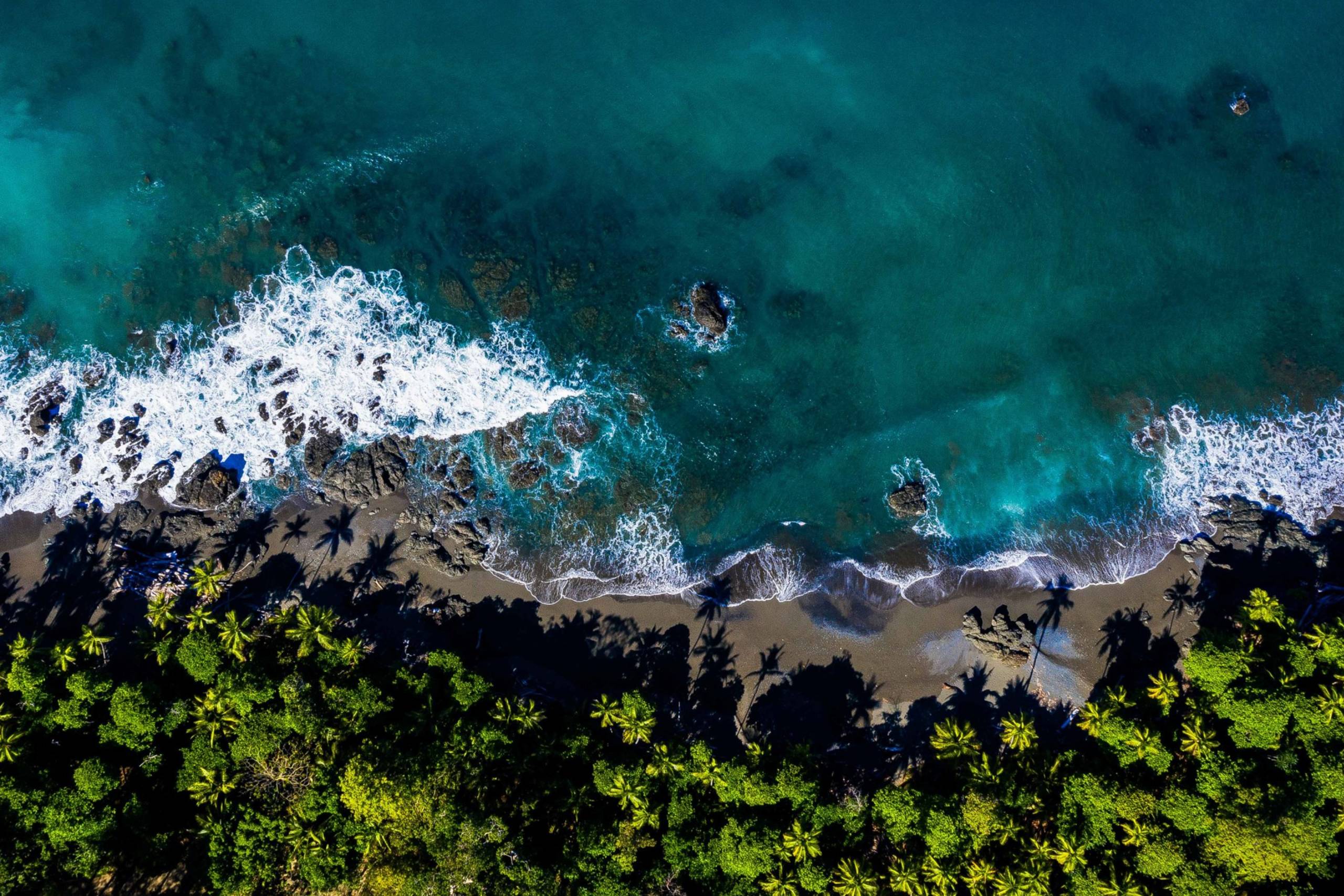 Lush green jungle meets the turquoise waters and dark sand of this tropical coastline.