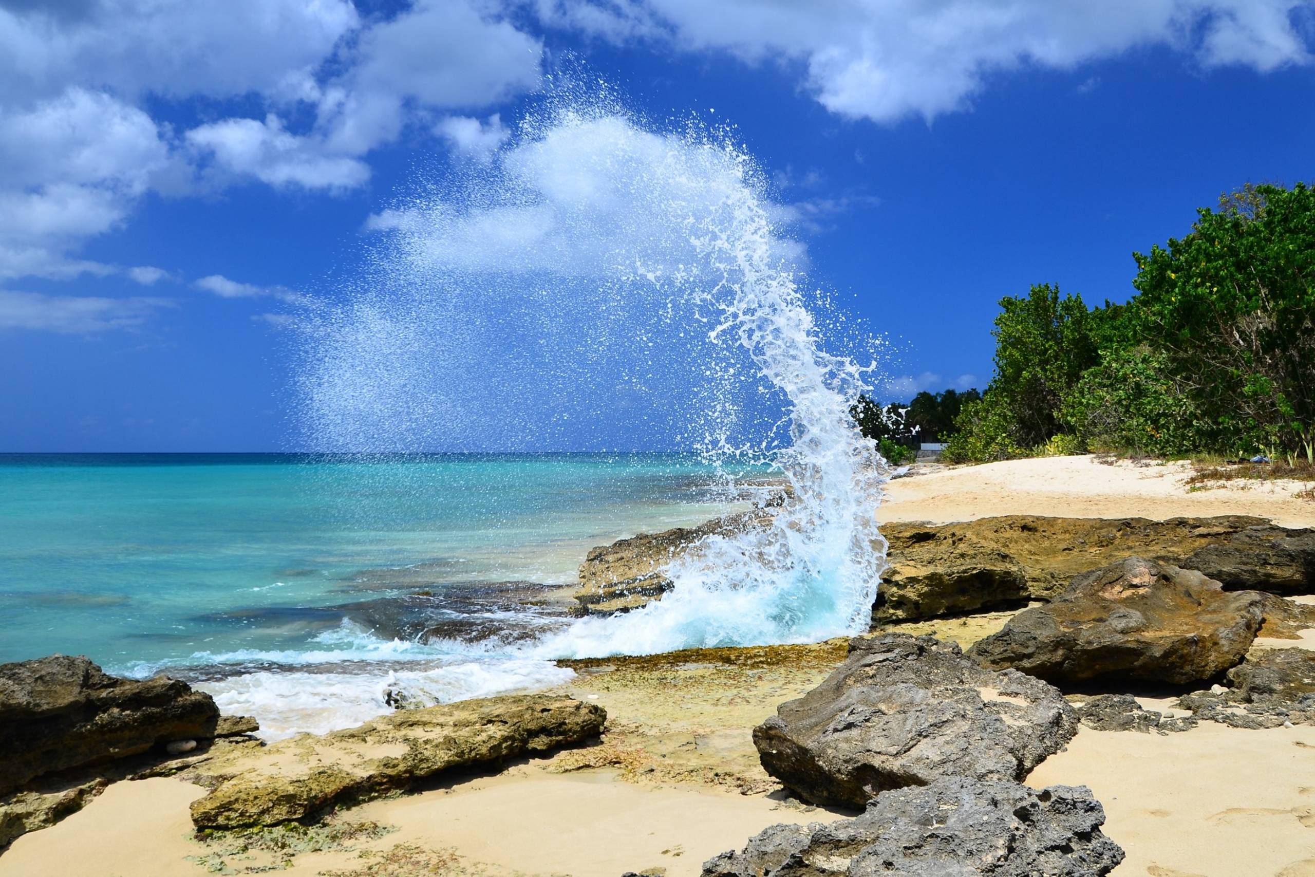 A powerful wave crashes against rocky shores under a brilliant blue sky.
