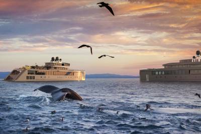 A large cruise ship sails across a calm sea, surrounded by seabirds soaring against a vibrant sunset sky, while a whale breaches the water's surface in the foreground.