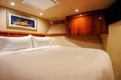 Luxurious bedding awaits in this elegantly appointed cabin, complete with a vibrant coral reef artwork and a modern entertainment system.
