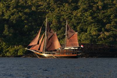 A wooden schooner with dark sails floats on calm blue water in the foreground, with a lush green, tree-covered hillside rising behind it in the background.