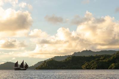 A sailboat with dark red sails glides across calm water in the foreground, with a lush, green, mountainous coastline under a cloudy sky in the background.