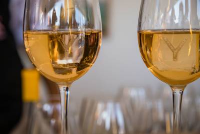 Two glasses of white wine stand in the foreground against a blurred background of numerous empty glasses.
