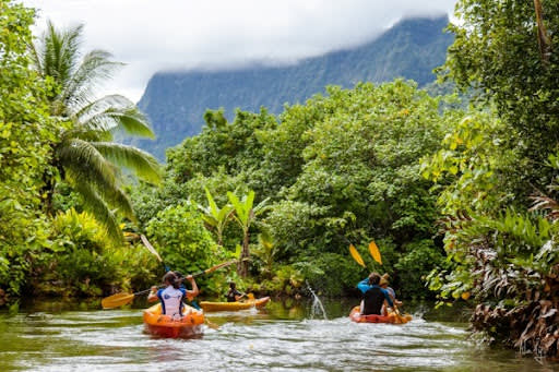 Kayak the Faaroa River