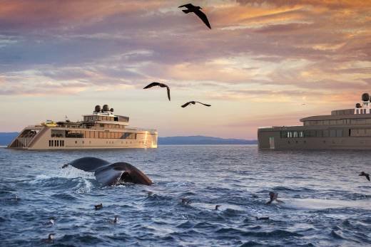 A large cruise ship sails across a calm sea, surrounded by seabirds soaring against a vibrant sunset sky, while a whale breaches the water's surface in the foreground.