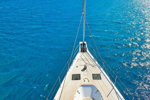 Archelon Through the Lens