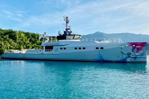The yacht "Pink Shadow" cruises through tranquil turquoise waters, its hull adorned with a striking mermaid mural.