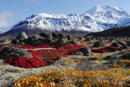 A Snapshot Of Kamchatka