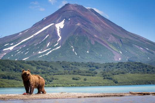 A Snapshot Of Kamchatka