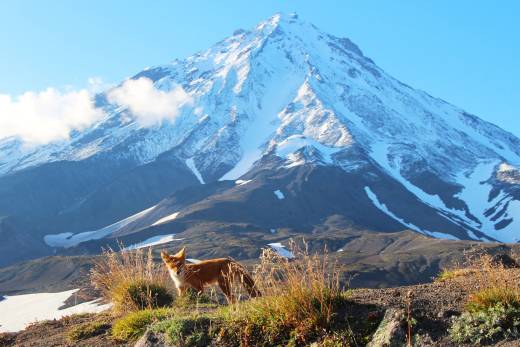 A Snapshot Of Kamchatka