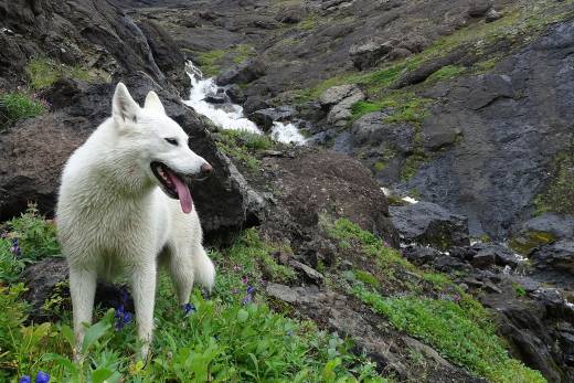 A Snapshot Of Kamchatka