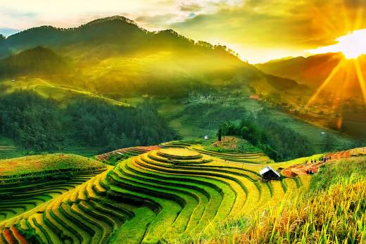 A Snapshot Of Vietnam