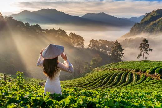 A Snapshot Of Vietnam