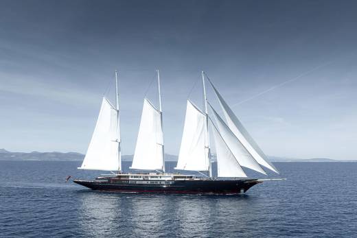 Koru Through the Lens