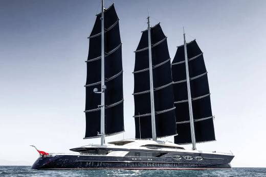 Black Pearl Through the Lens