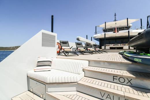 Fox Through the Lens