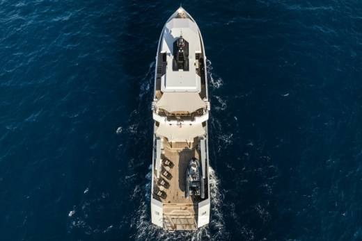 Fox Through the Lens