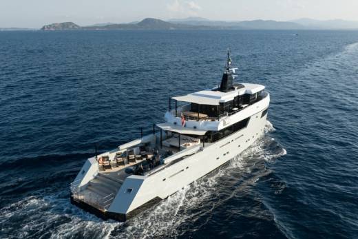 Fox Through the Lens