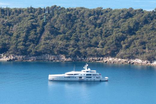 Stardust Through the Lens