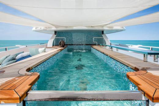 My Dragon Through the Lens 