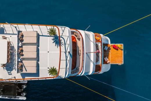 Victory Through the Lens